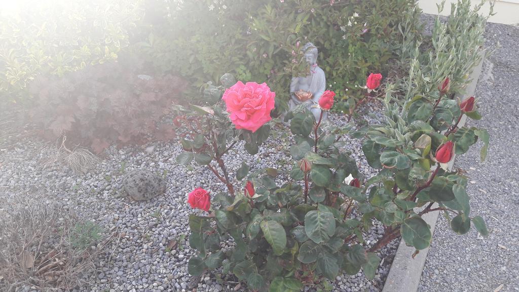 Atlantic Way B&B Grange  Zewnętrze zdjęcie