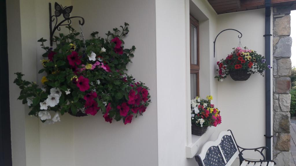 Atlantic Way B&B Grange  Zewnętrze zdjęcie