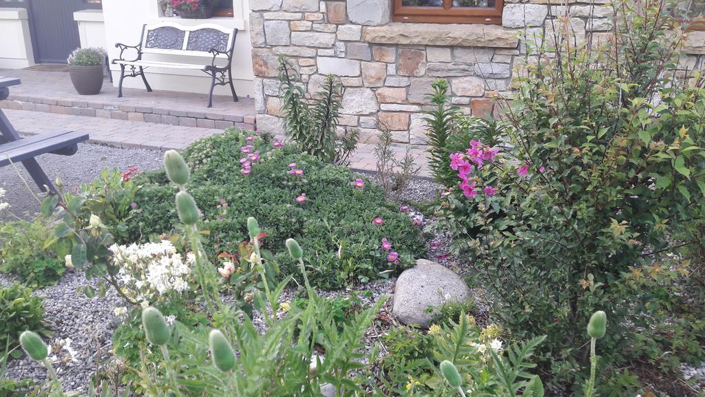 Atlantic Way B&B Grange  Zewnętrze zdjęcie